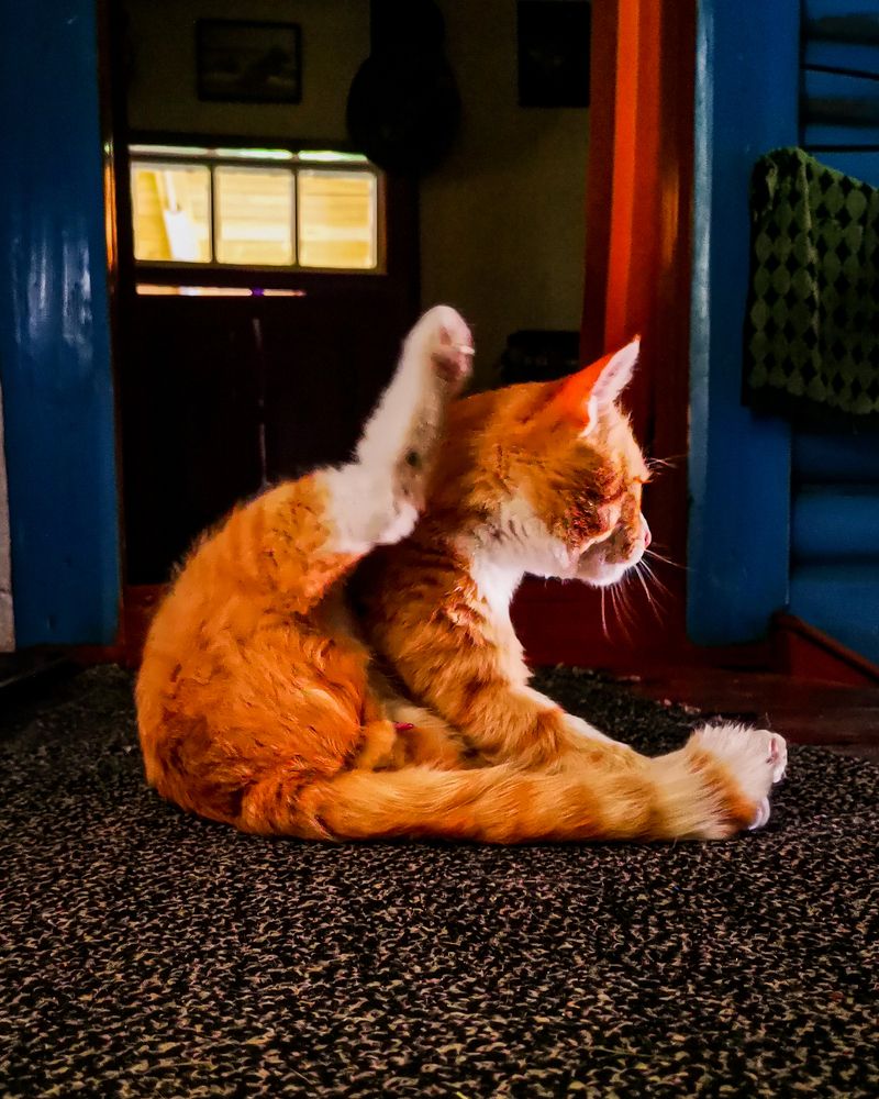 Photograph by Наталья Балабанова