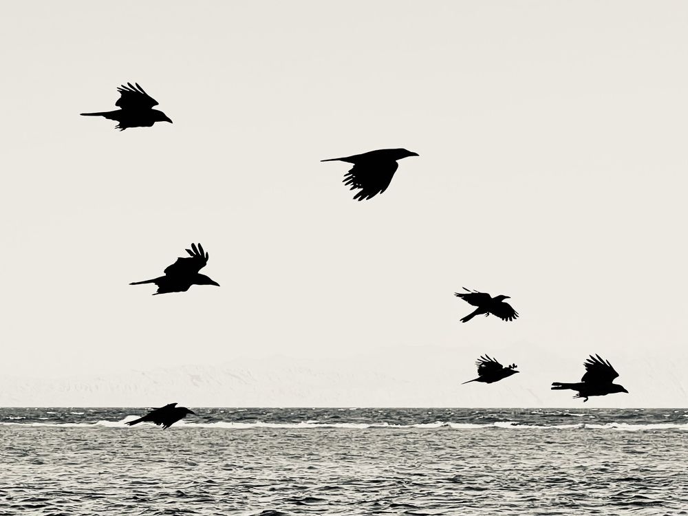 Photograph by Evgenia Barinova