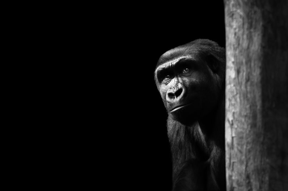 Фотография автора Christopher Cann