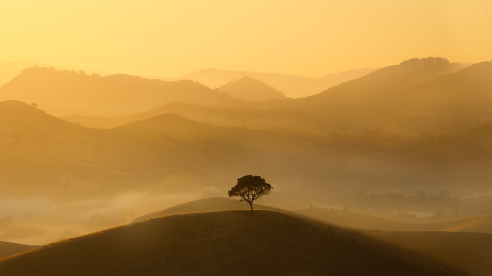 Фотография автора Christopher Cann