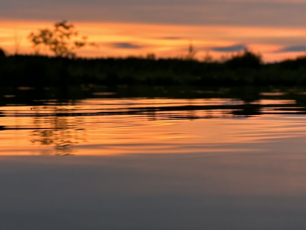 Photograph by Evgenia Barinova