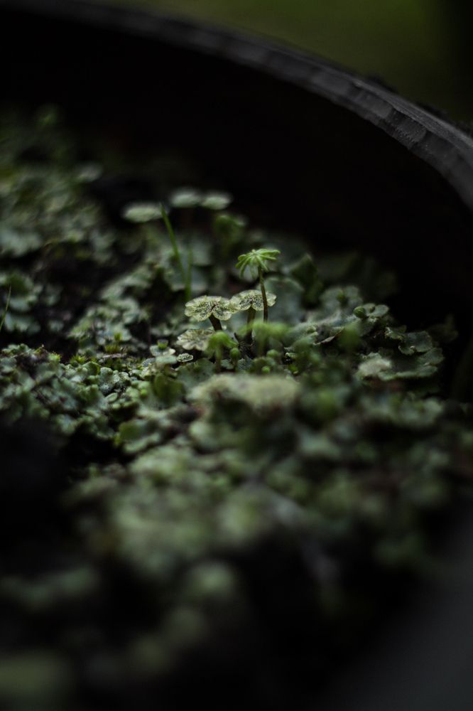 Photograph by Elena Kilina