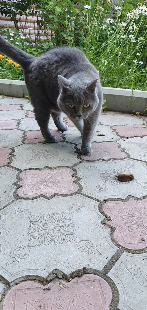 Photograph by Татьяна Мельникова