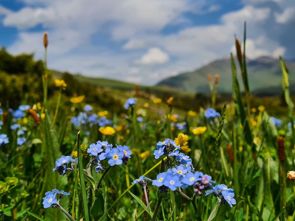 Photograph by Татьяна Соколовская