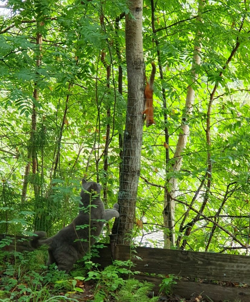 Photograph by Татьяна Мельникова