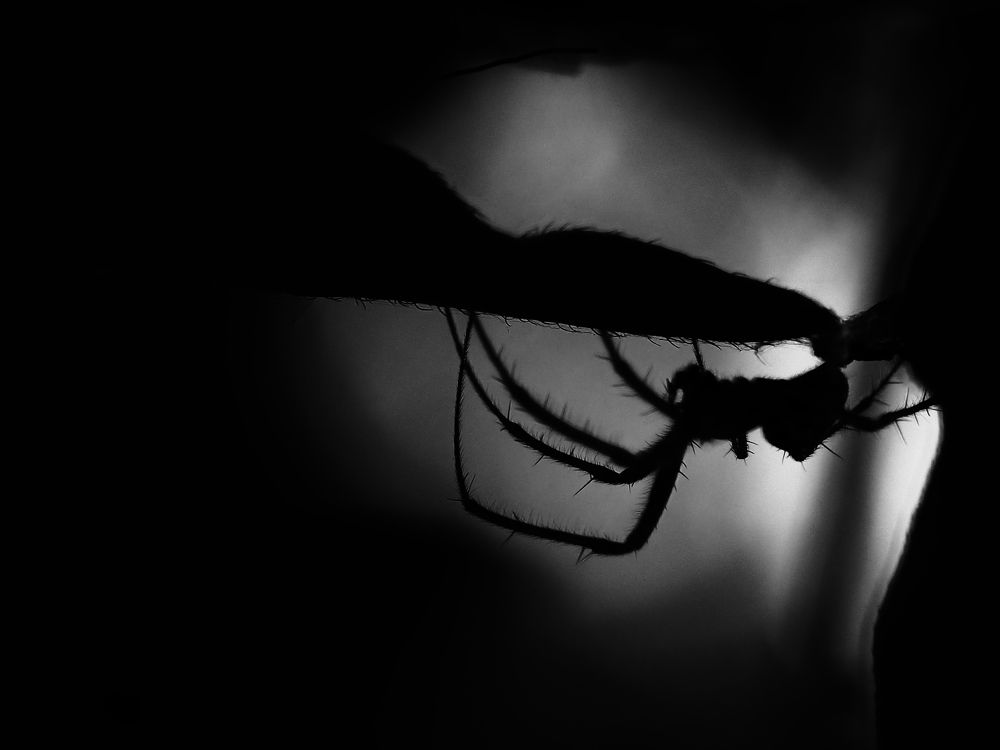 Photograph by Маргарита Смоленская