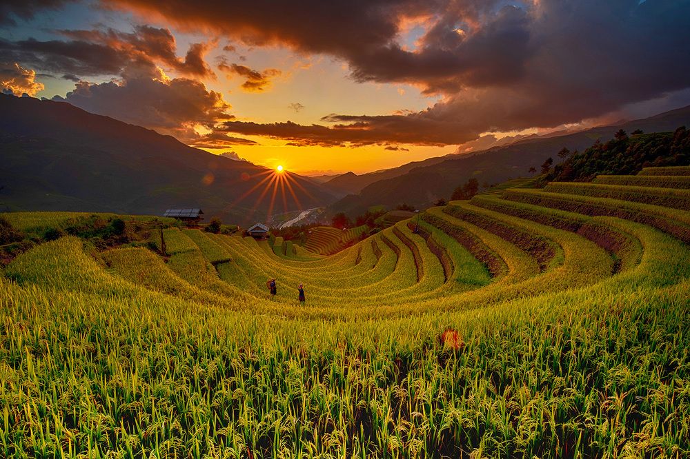 Photograph by Nguyễn Anh Tuấn