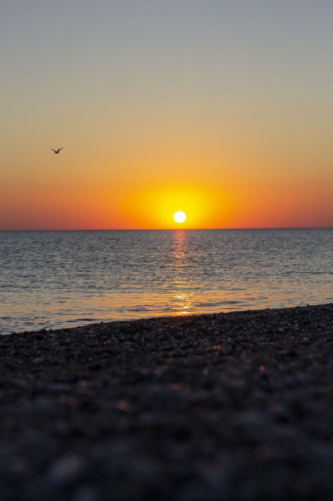 Photograph by Ольга Самылкина