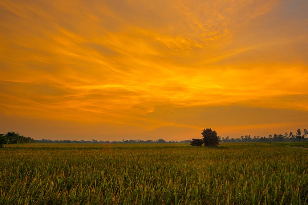 Photograph by Nguyễn Anh Tuấn