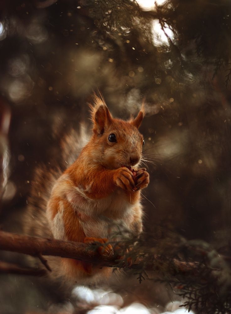 По сказочным мотивам.