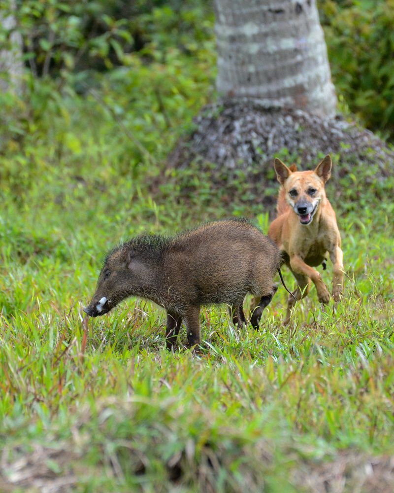 Photograph by vishnu ts