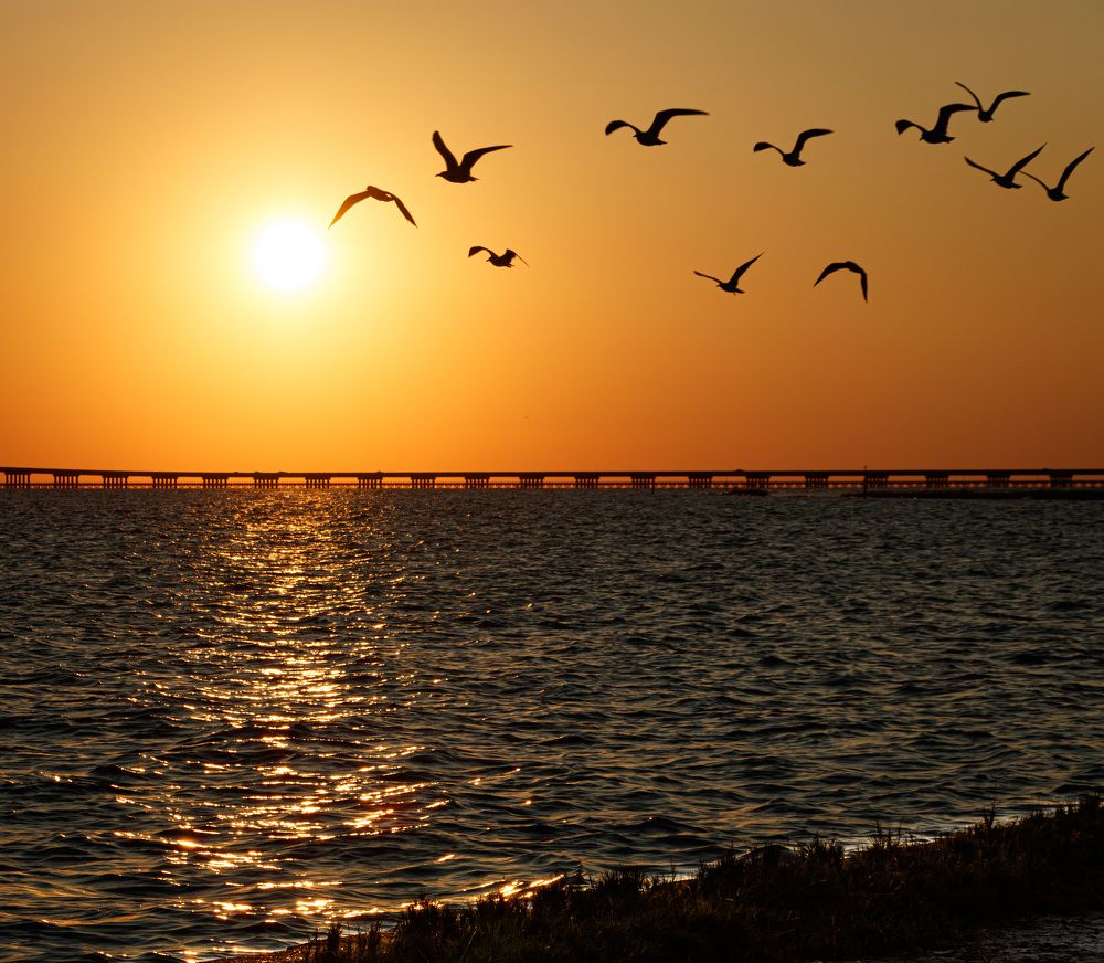 Photograph by Анатолий Костерев