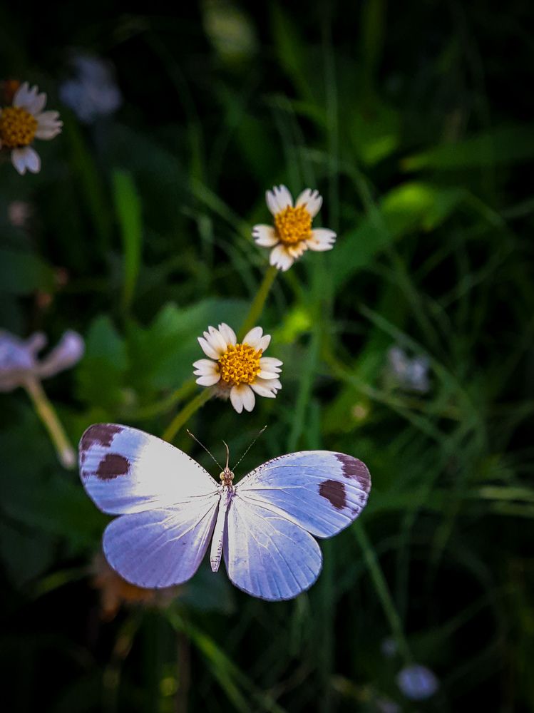 Photograph by Sukanya Chowdhury