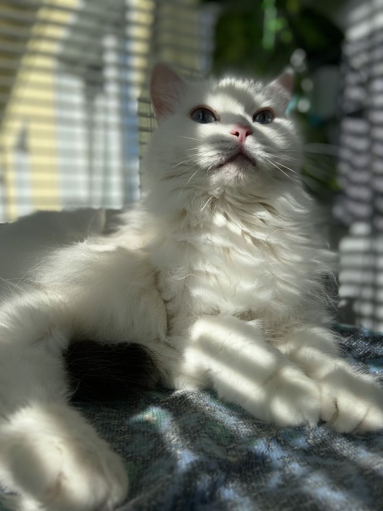 Photograph by Наталья Душакова