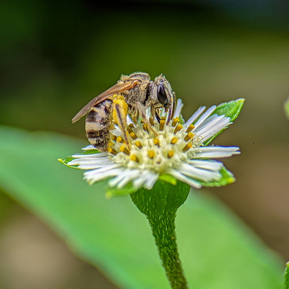 Photograph by Sukanya Chowdhury