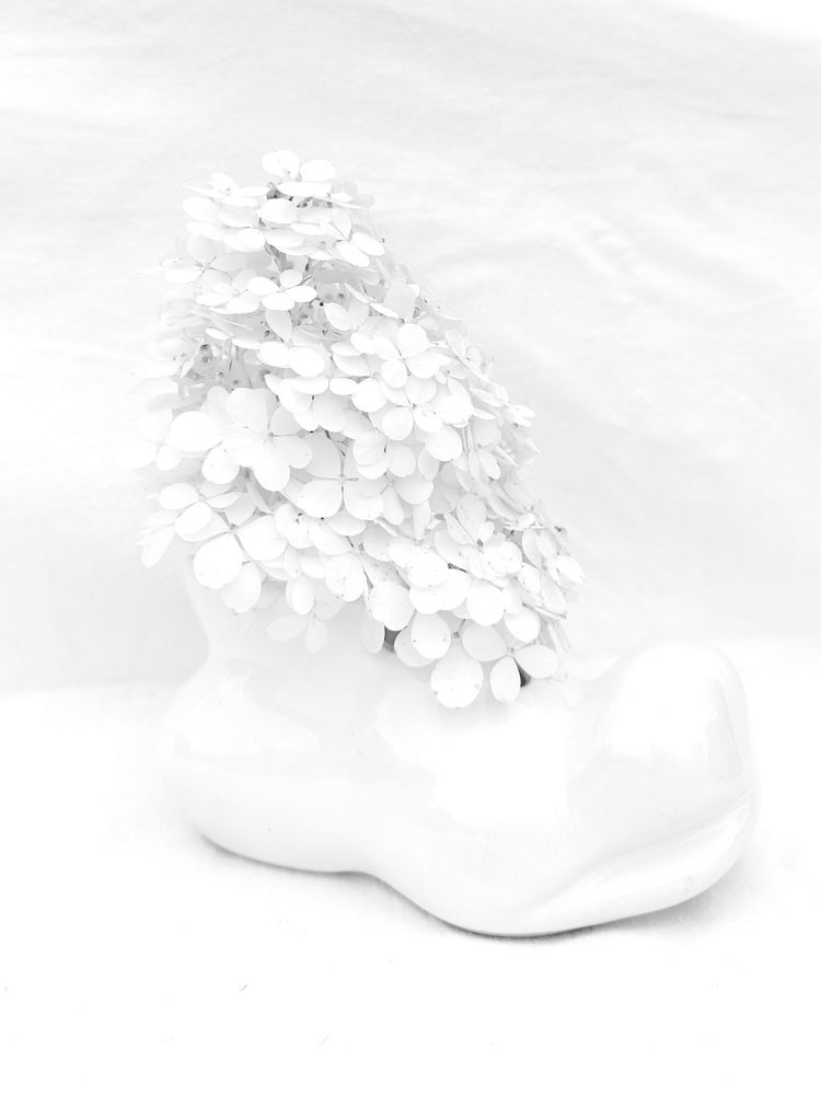 Photograph by Лидия