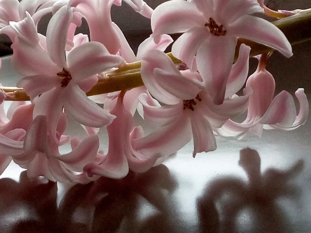 Photograph by Людмила Баглей