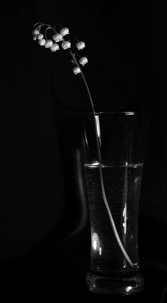 Фотография автора Сергей Гречихин