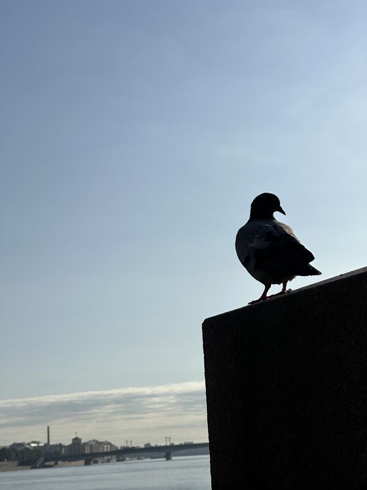 Photograph by Екатерина Слепнева