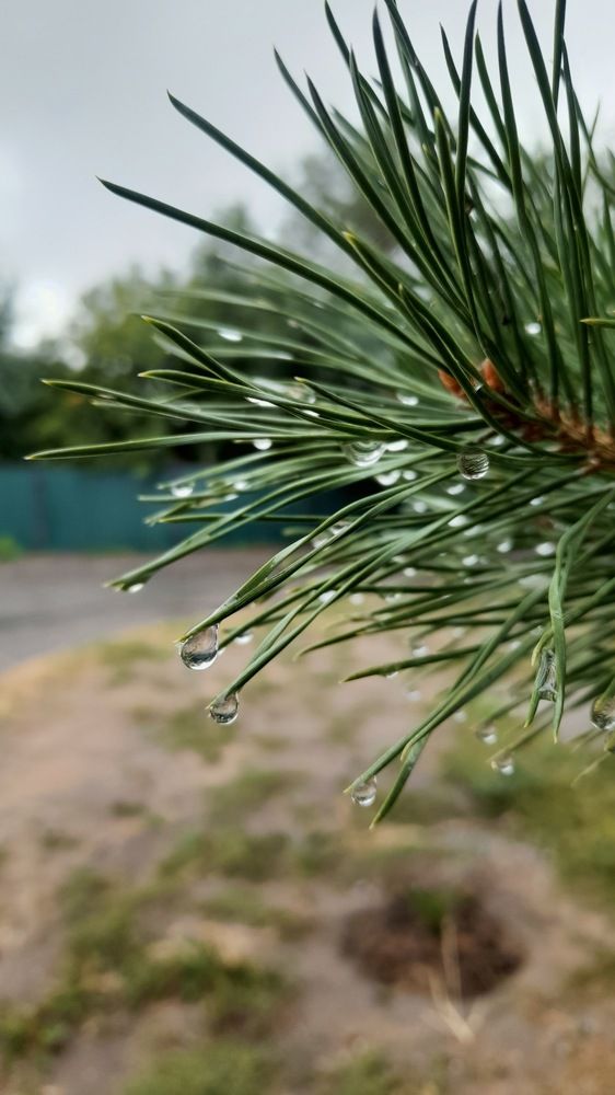 Фотография автора Анна Морозова