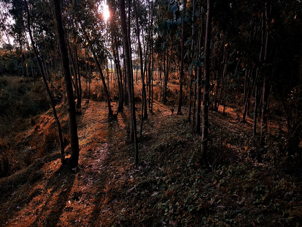 Photograph by Souvik Bhattacharyya