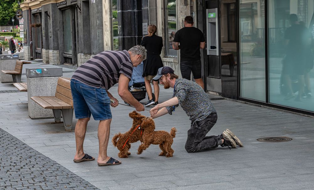 Photograph by yuri kutukov