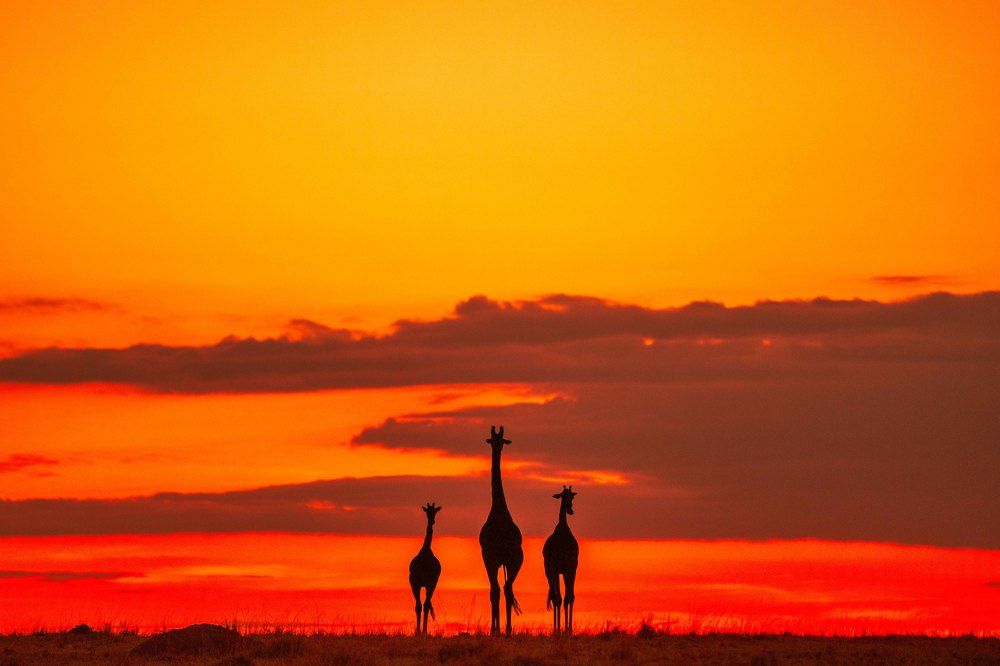 Photograph by Zubair Irshad