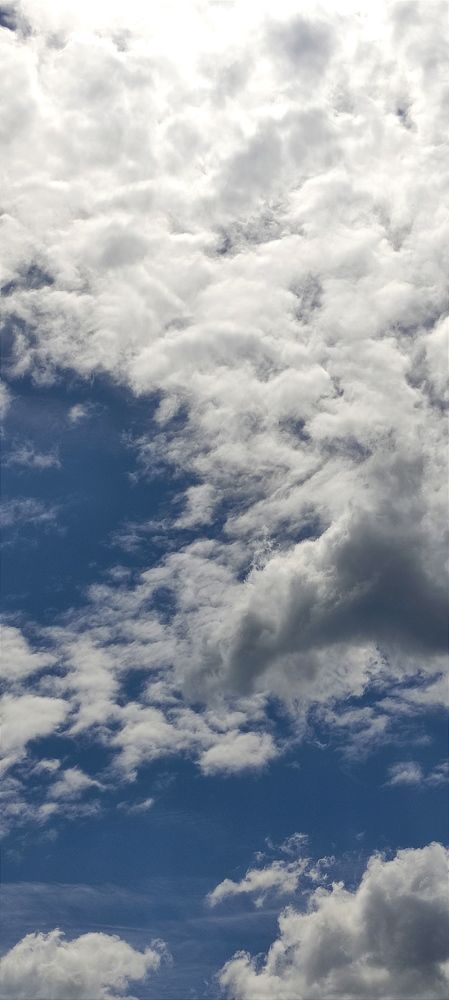 Фотография автора Васильева Ирина