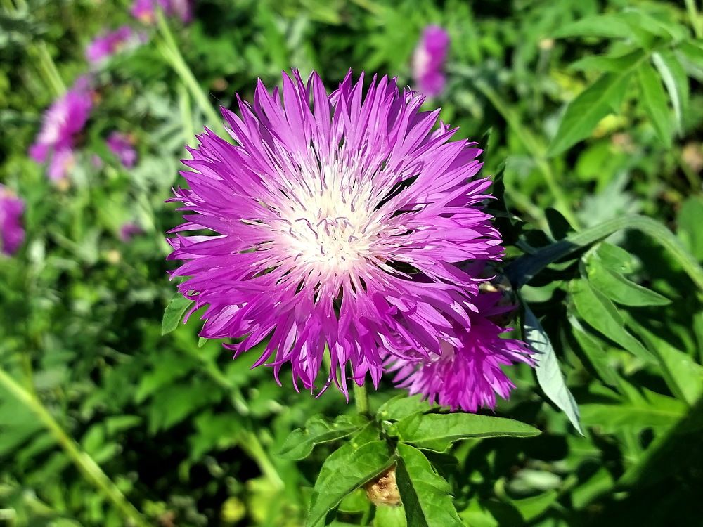 Photograph by Юрий Подвойский