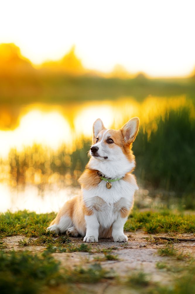 Photograph by Ирина