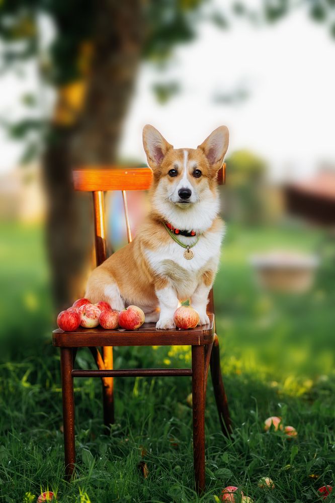 Photograph by Ирина