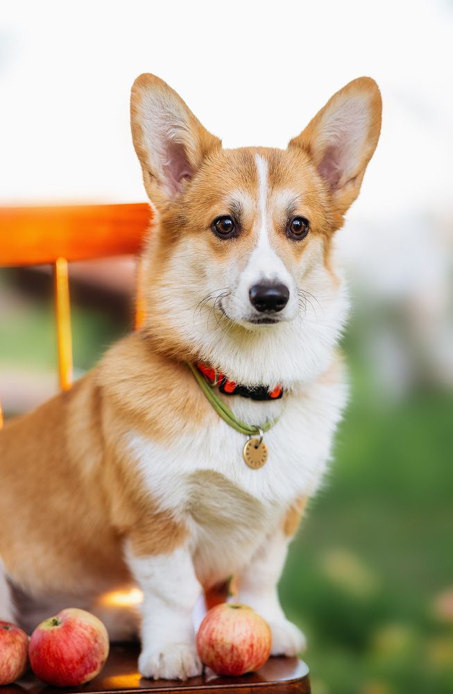 Photograph by Ирина