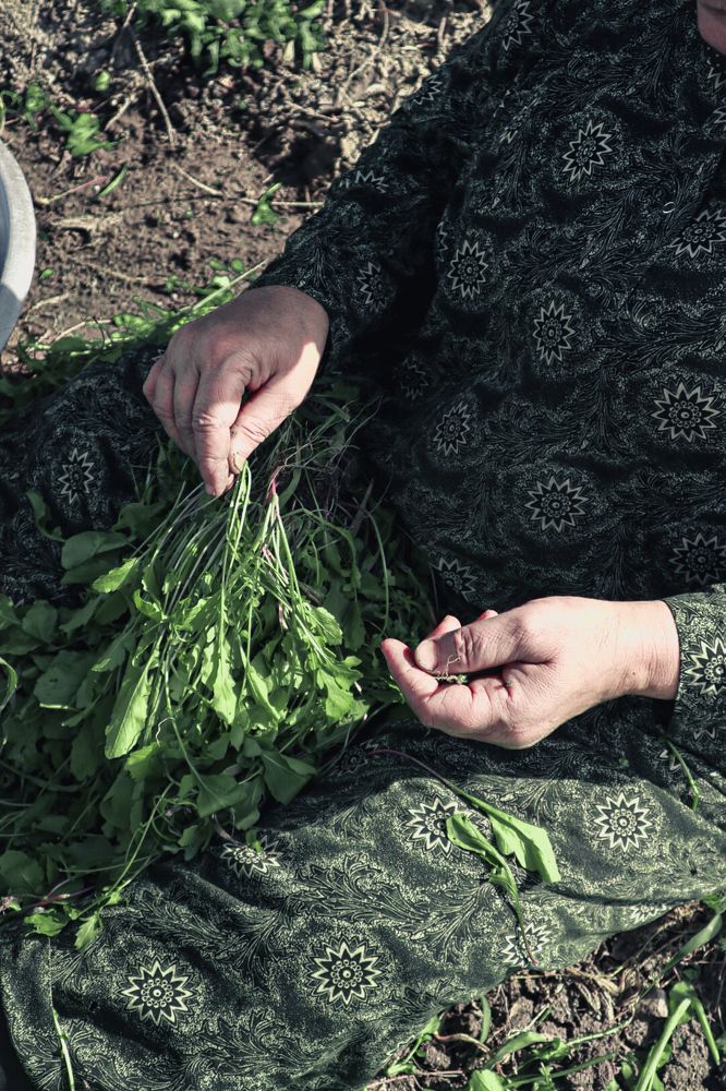 Photograph by Basant Sami