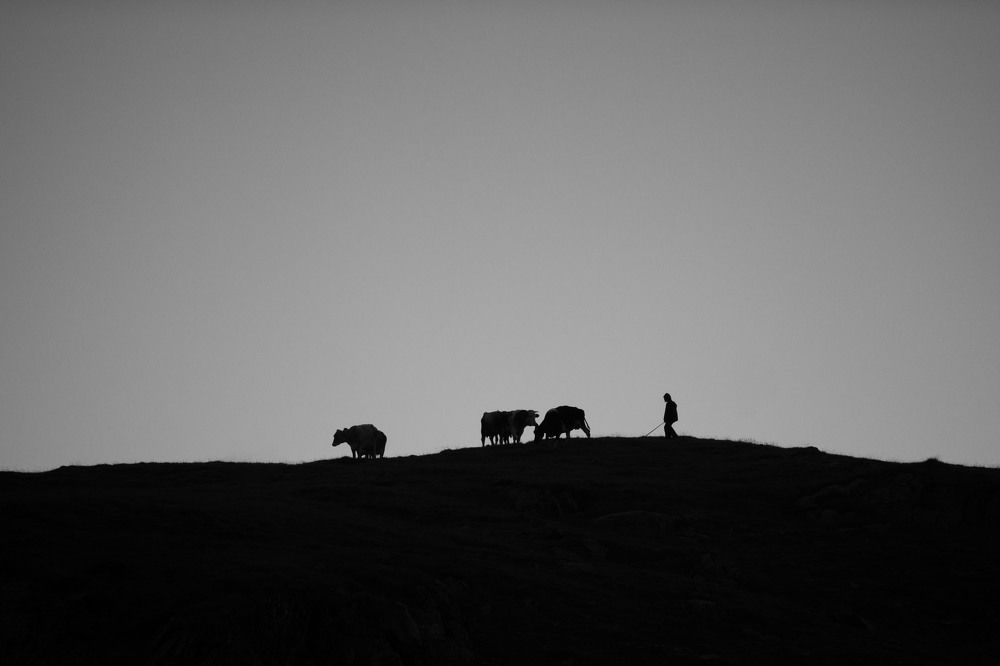 Photograph by Alberto Varasi