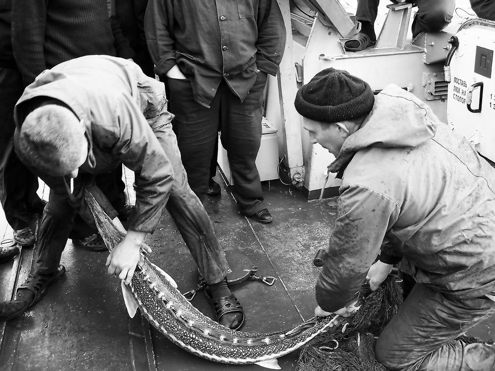 Photograph by Александр Кудрявцев