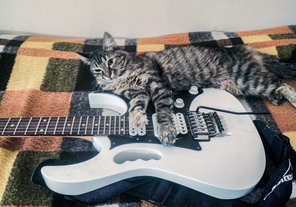 Photograph by владимир хухунаишвили