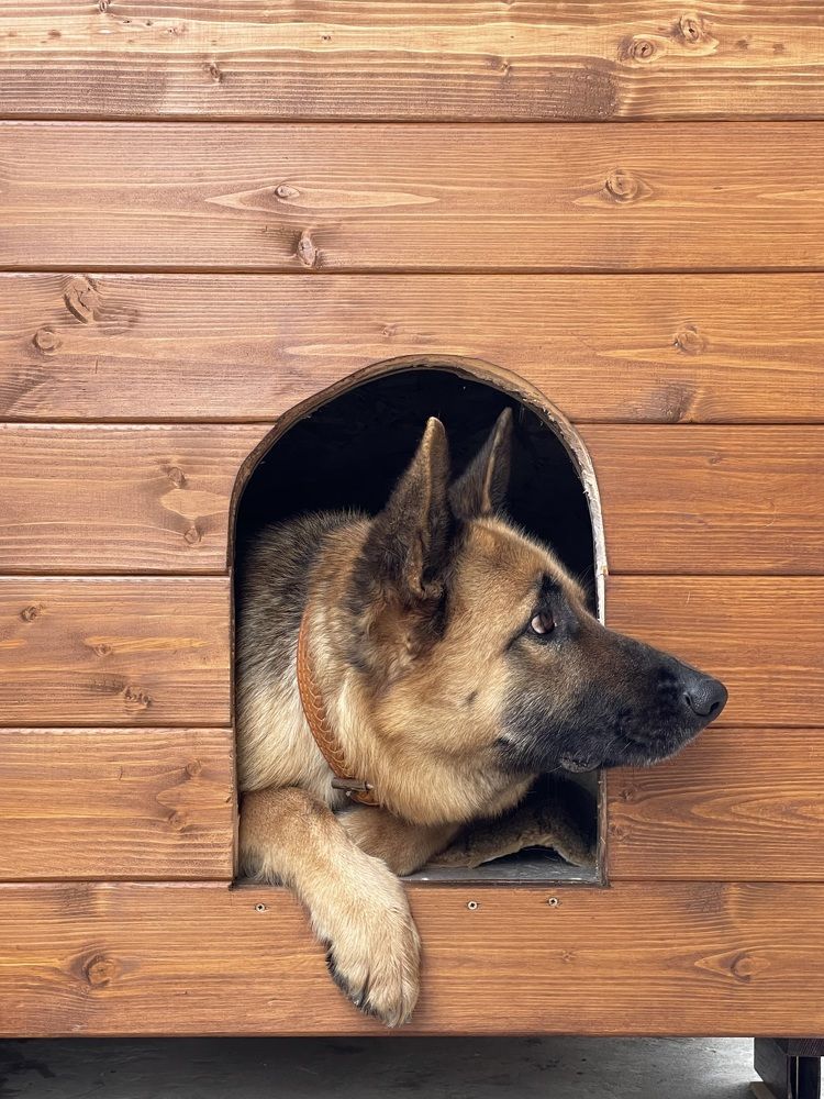 Photograph by Татьяна