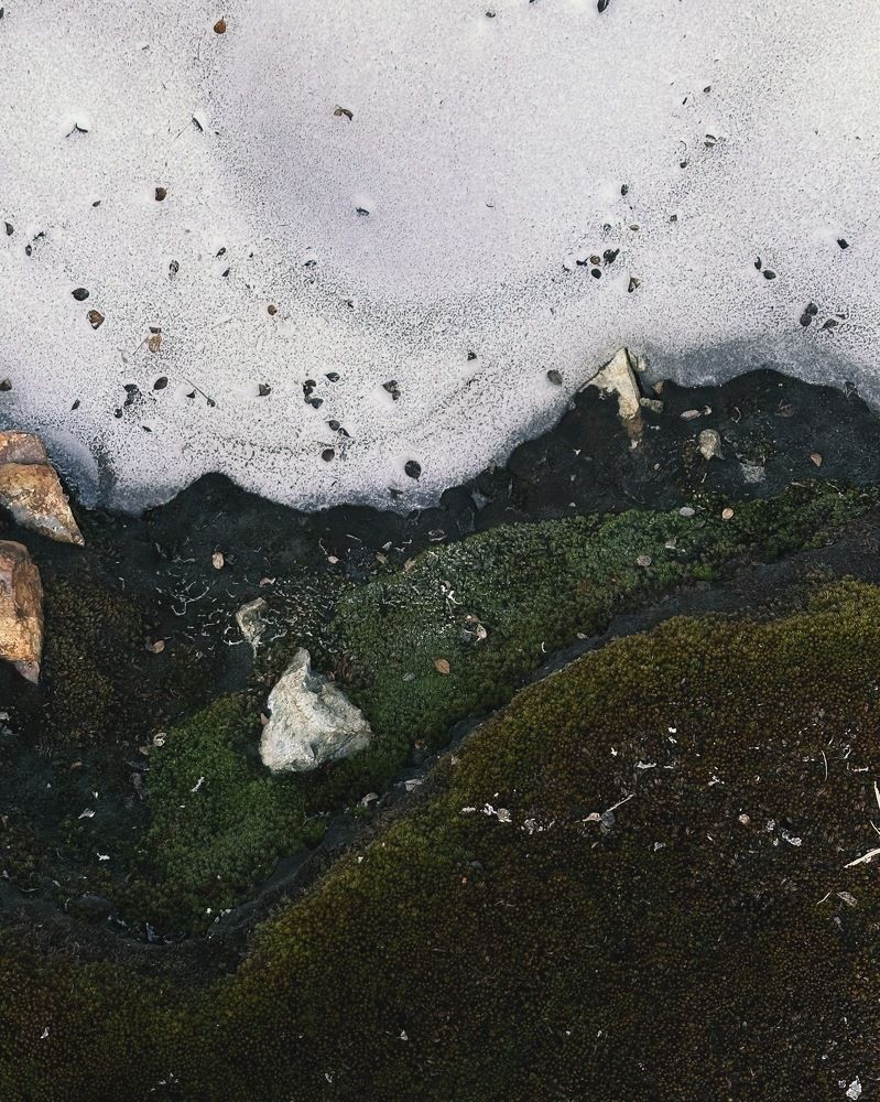 Photograph by Михаил