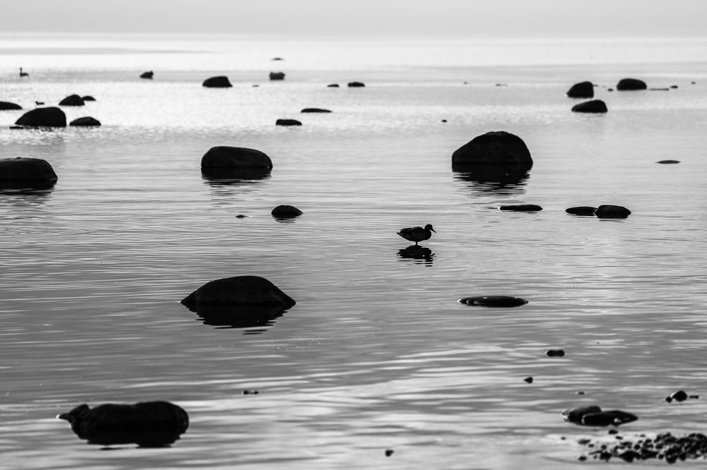 Photograph by Sergei Komlev