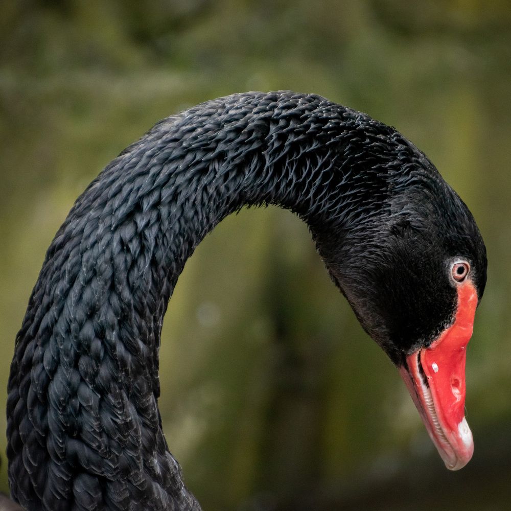 Photograph by Анастасия Лученок