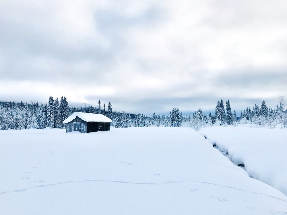 Photograph by Janina Segeda