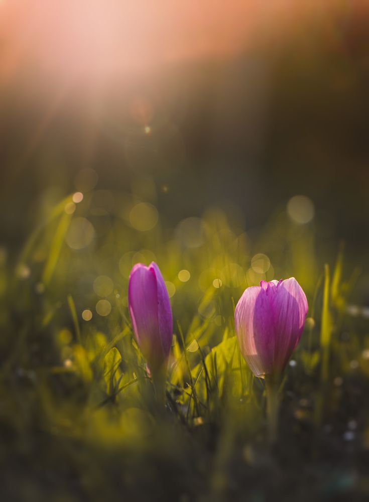 Photograph by Зеленько Дмитрий