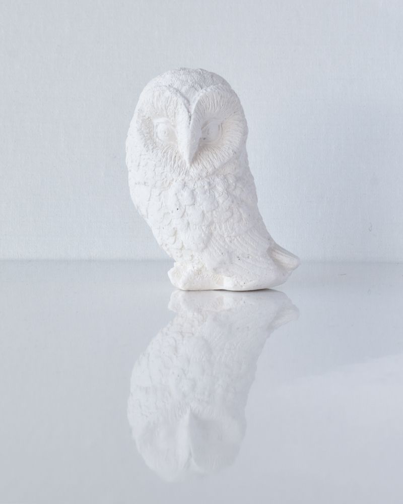 Photograph by Татьяна Носкович