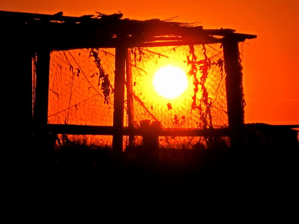 Photograph by Наталья Дубовкина