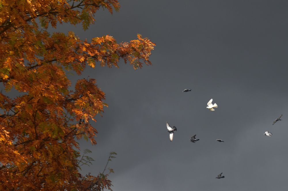 Photograph by Татьяна Носкович