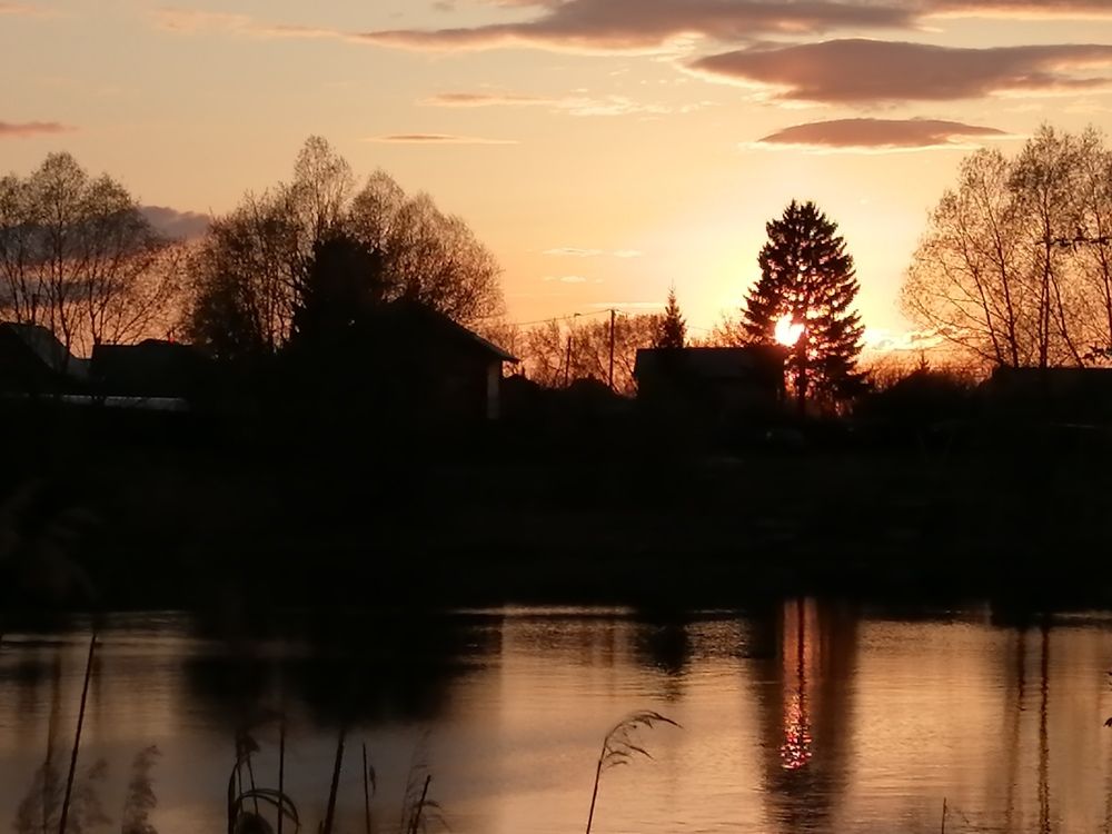 Photograph by Наталья Дубовкина