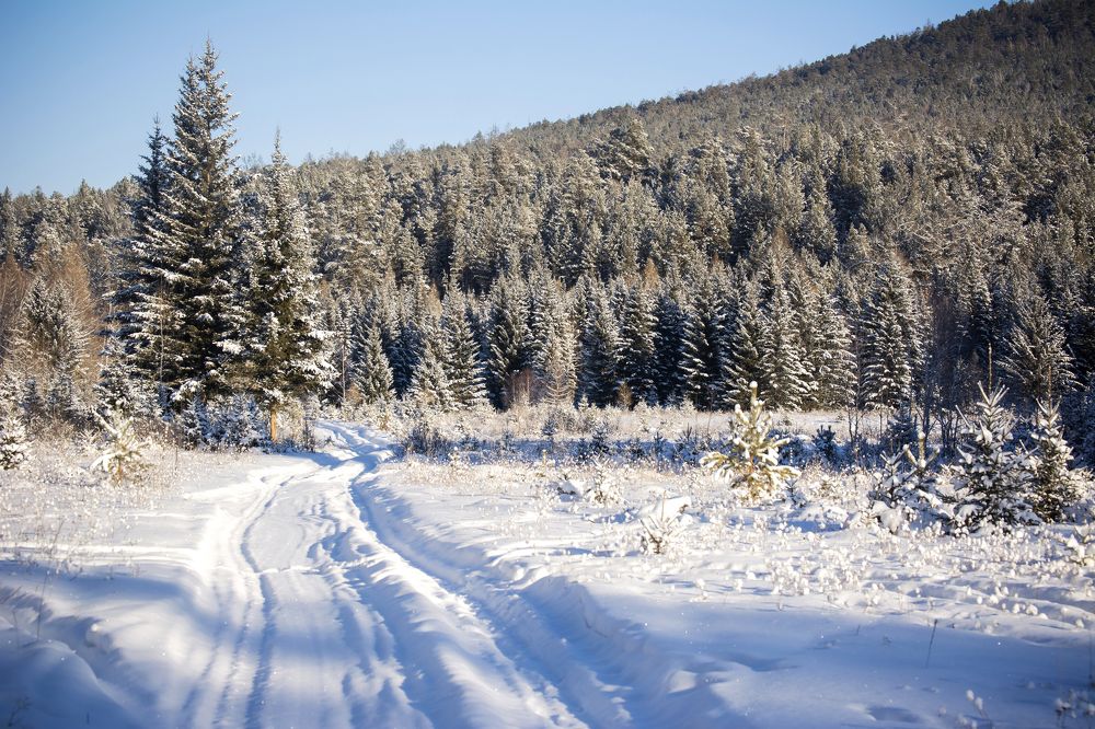 Photograph by Надежда Кажура