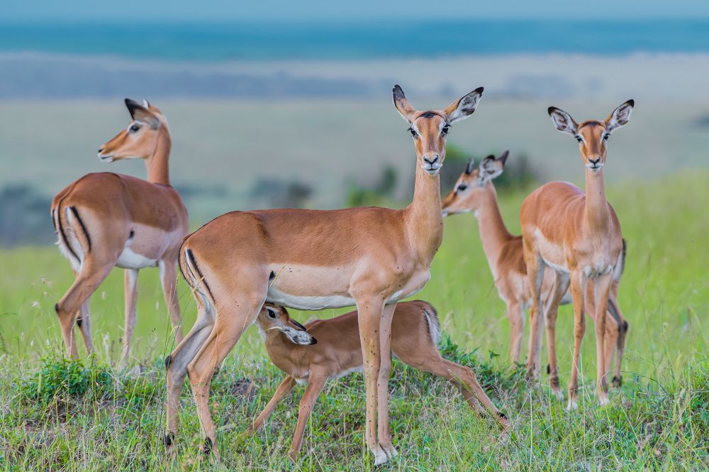 Photograph by Avani Dhanani