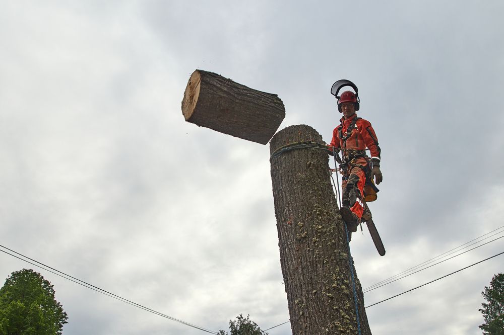 Photograph by Евгений Лапшин