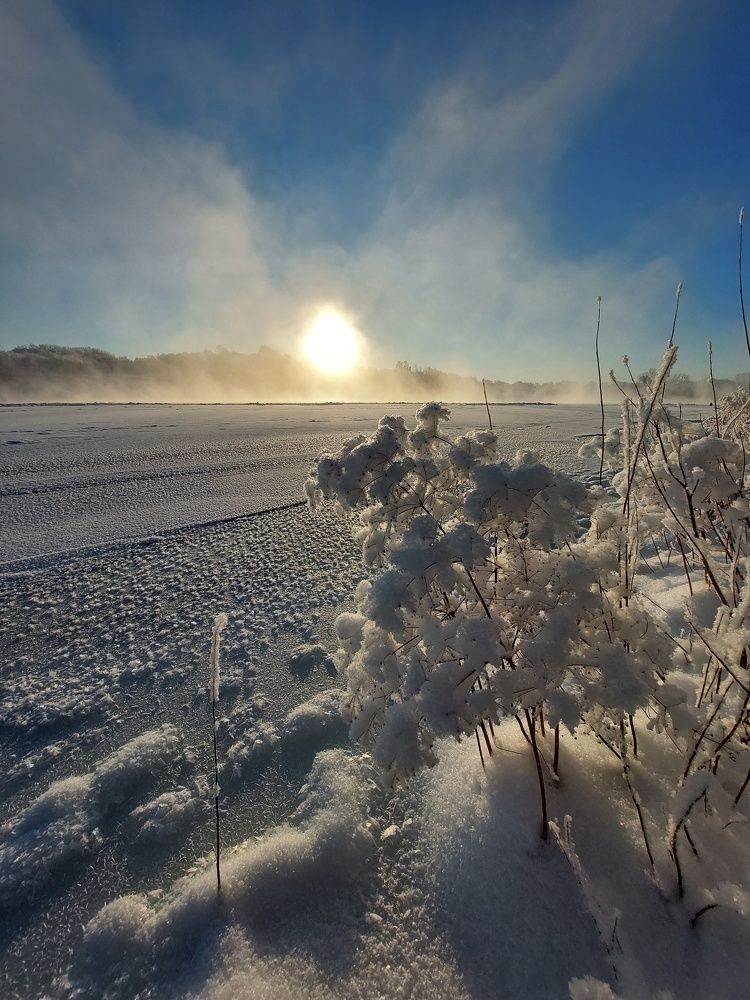 Photograph by Наталья Дубовкина